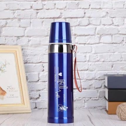 Thermos alimentaire à double couche, 600ml